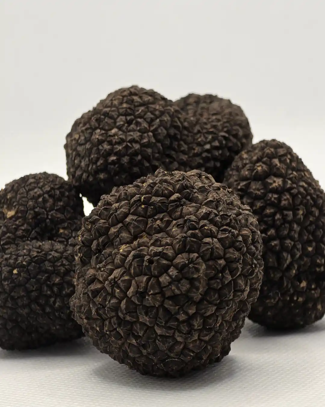 crni-letnji-svež-tartuf-150g-platinum-truffles.webp Svež crni tartuf 150 grama