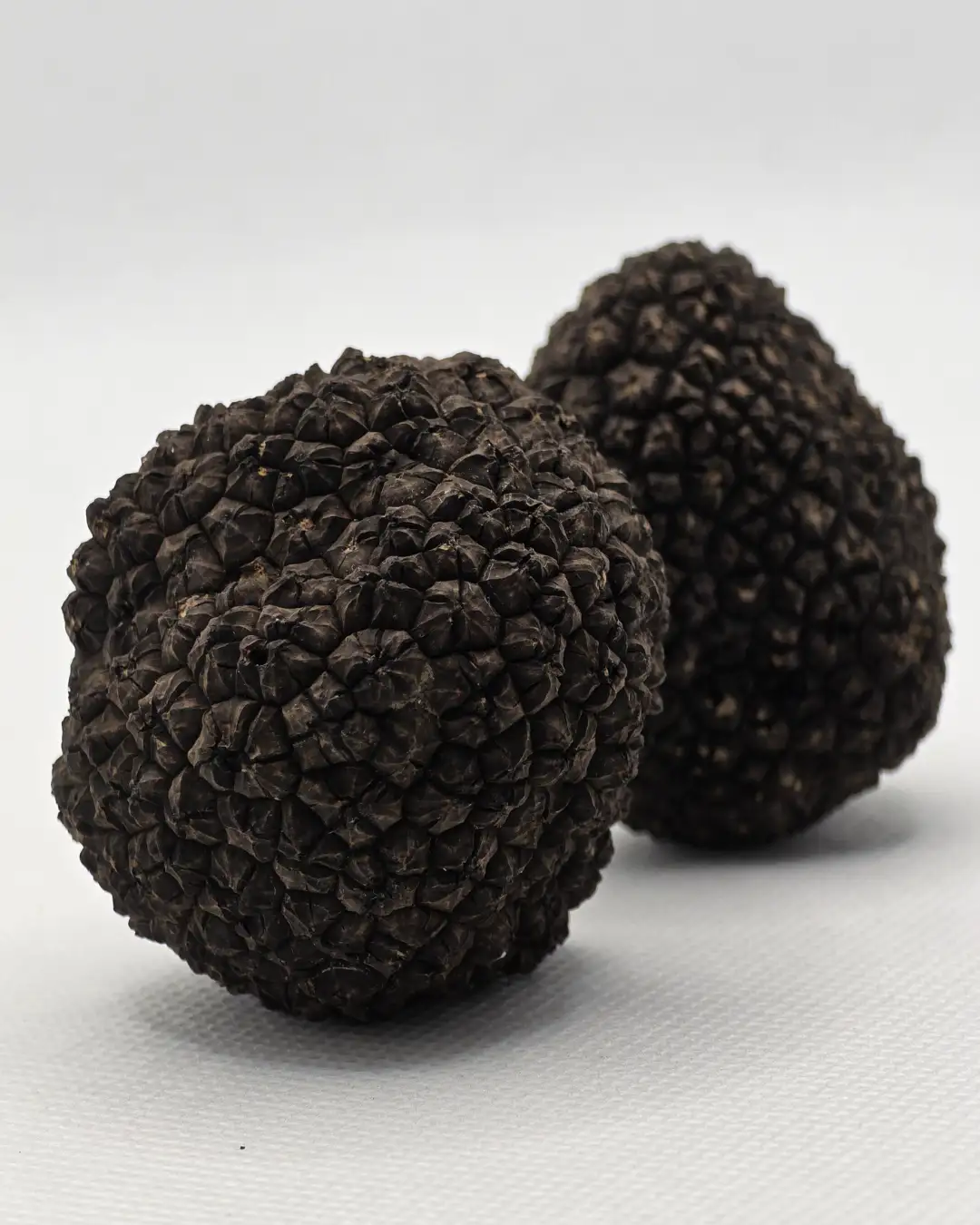 crni-letnji-svež-tartuf-60g-platinum-truffles.webp Svež crni tartuf 60 grama